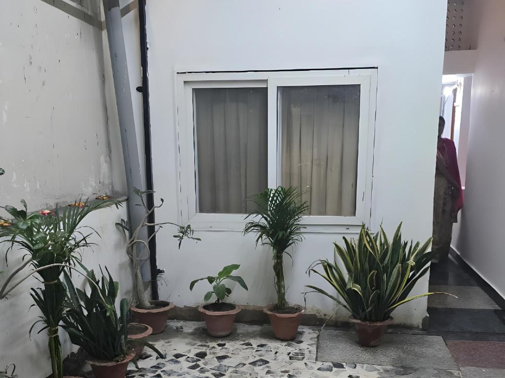 Shree Radhey — Allahabad — photo 3