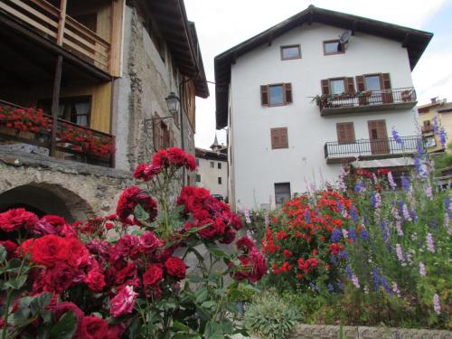 Appartamenti Rumo - carbon neutral hotel in Rumo