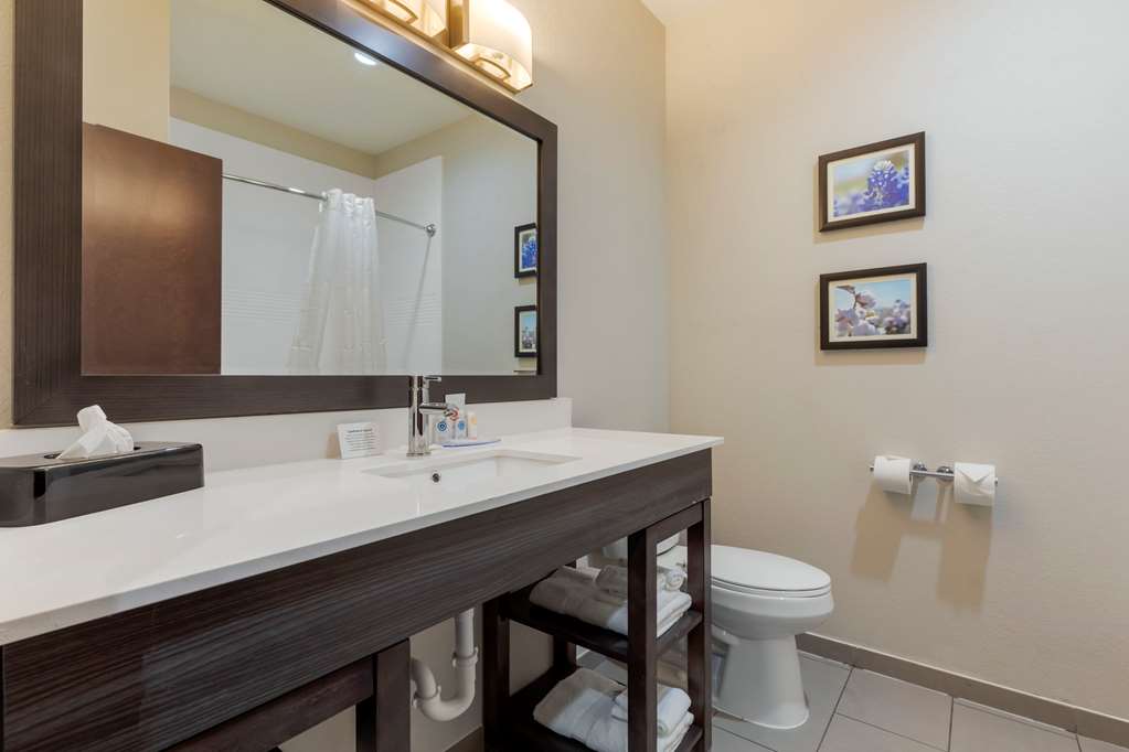 Comfort Inn & Suites Balch Springs SE Dallas - photo 20