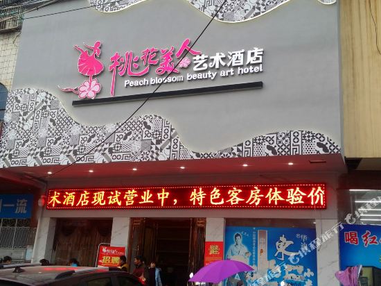 Taohua Beauty Art Hotel — hotel in Taohuajiang
