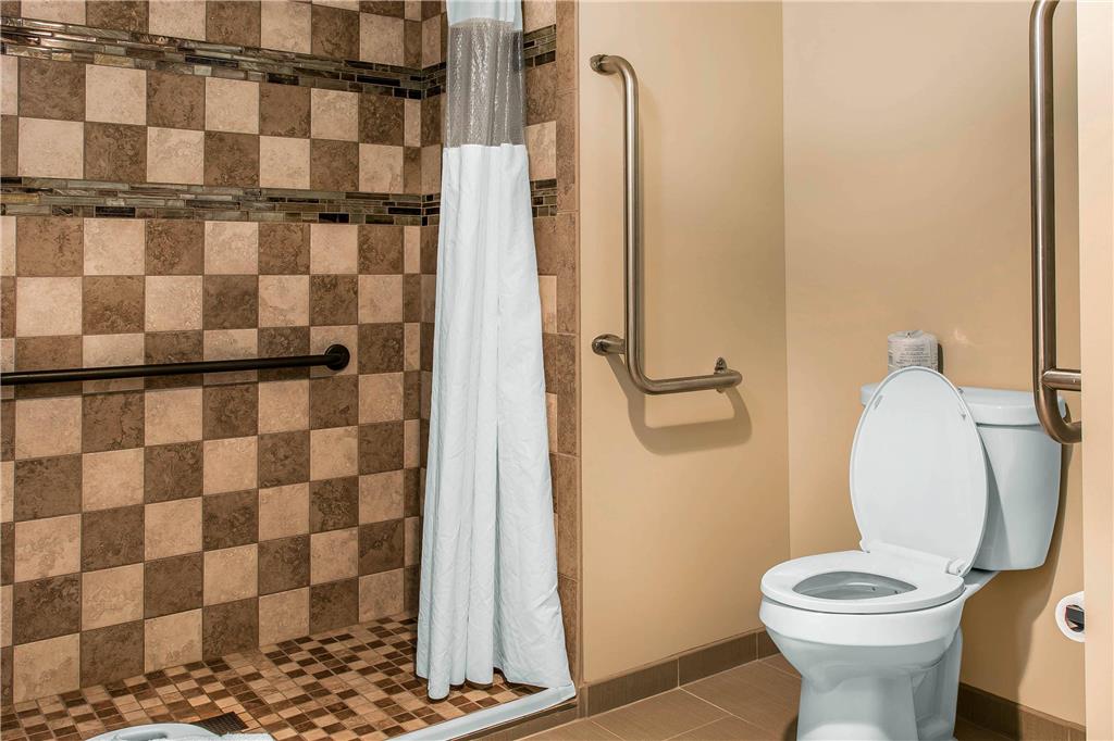 Quality Inn & Suites Houghton Downtown - photo 16