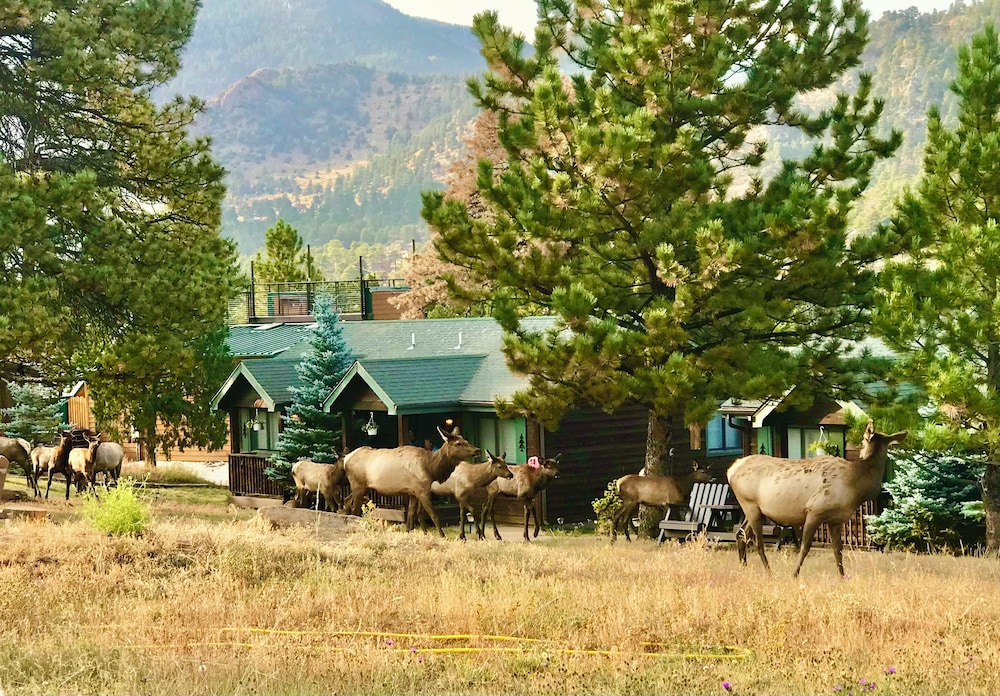 Mountain Shadows Resort - photo 38