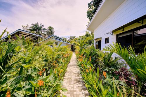 Paradise Studio Pool beach yoga - last minute hotel in Unknown City
