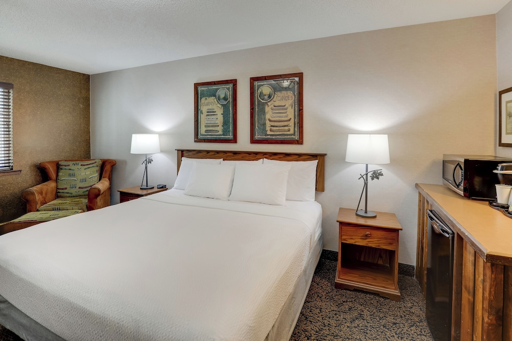 Stoney Creek Hotel St. Joseph - photo 8