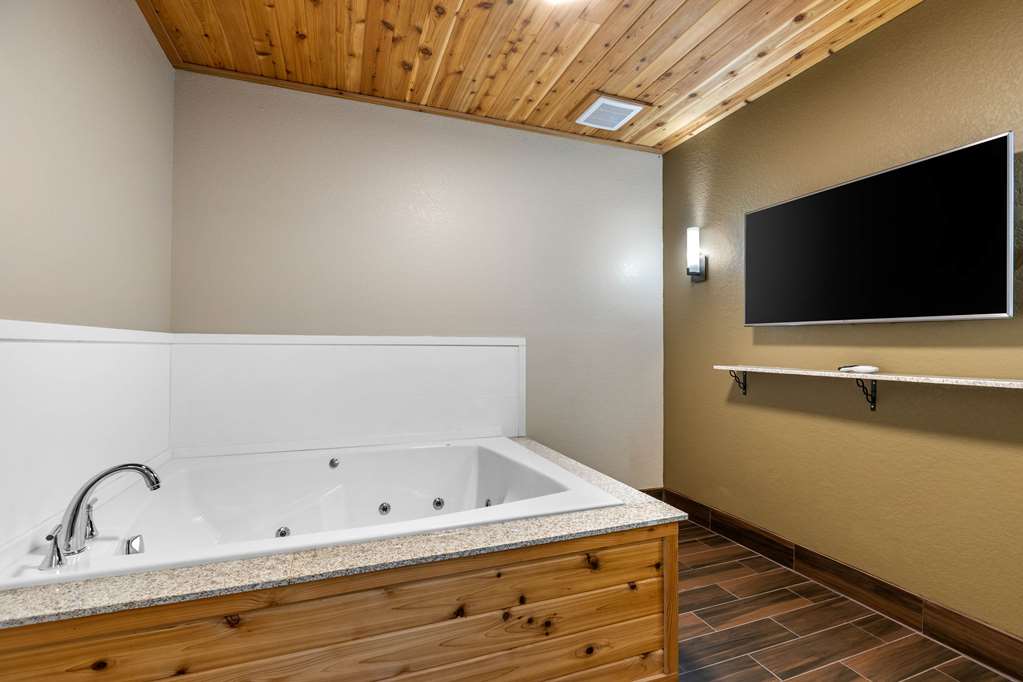Comfort Inn & Suites Cedar Rapids CID Eastern Iowa Airport - photo 33