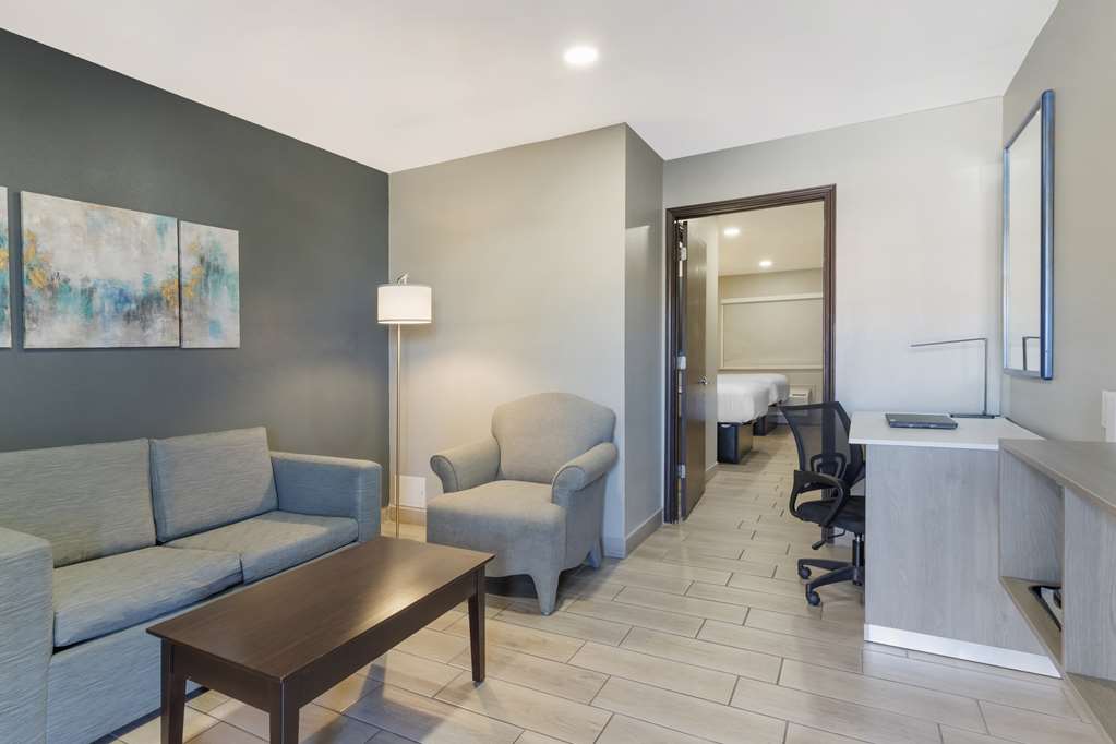 Best Western Plus Edinburg Inn & Suites - photo 19