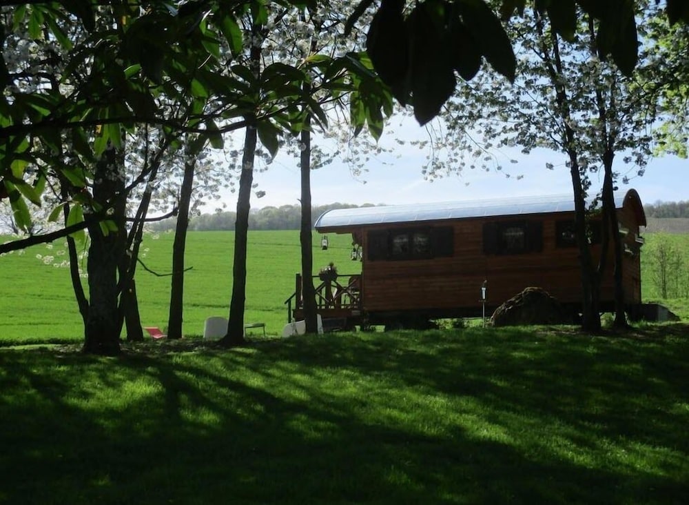 Domaine du Moulin de l’Etang — Chatillon-Sur-Marne — photo 4