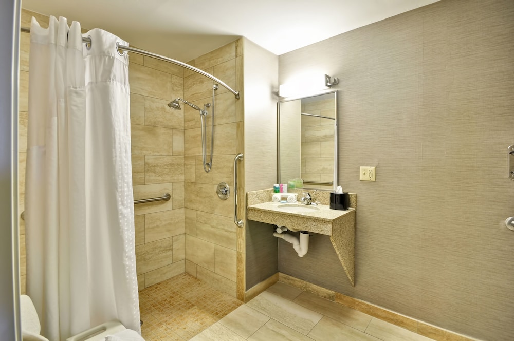 Holiday Inn Express Romulus Detroit Airport - photo 17
