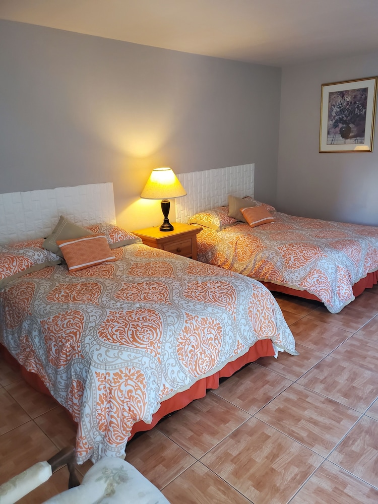 Conty's Motel - photo 14