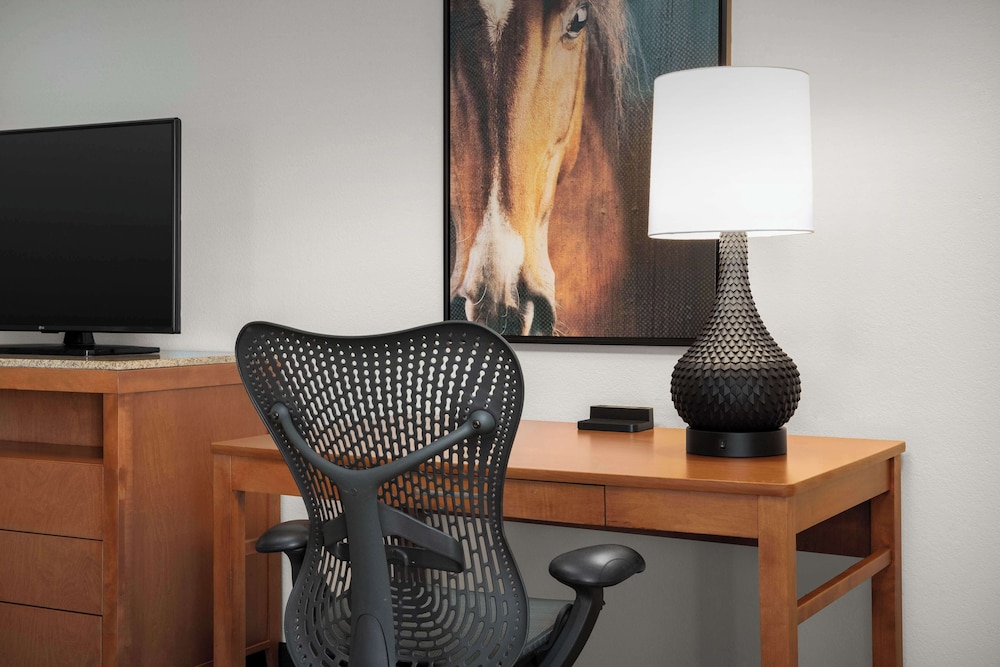 Hilton Garden Inn Fort Worth Medical Center - photo 7