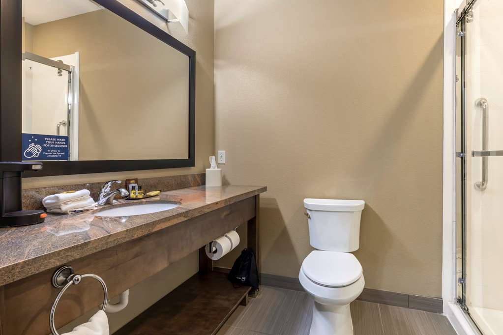 Best Western Plus Fort Stockton Hotel - photo 27