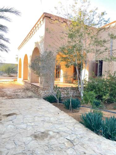 Rose de Sable in Tozeur, Tunisia