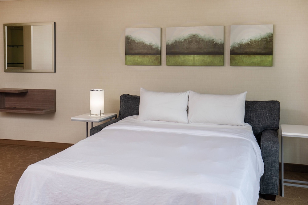 Delta Hotels by Marriott Chesapeake Norfolk - photo 8