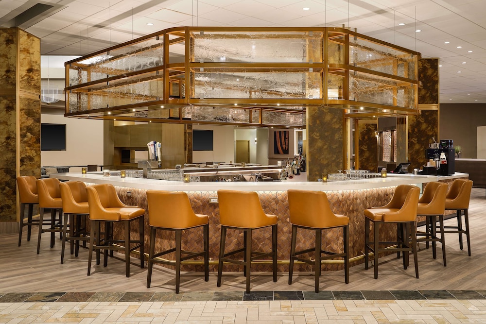 Hilton Richardson Dallas - photo 85