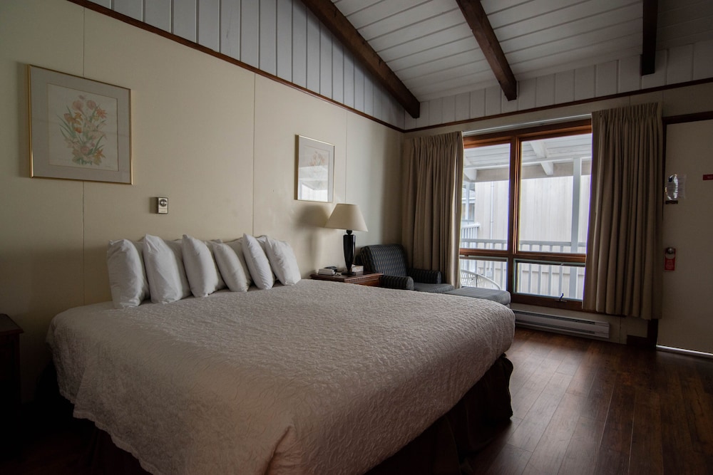 Ocean House Hotel & Motel - photo 19