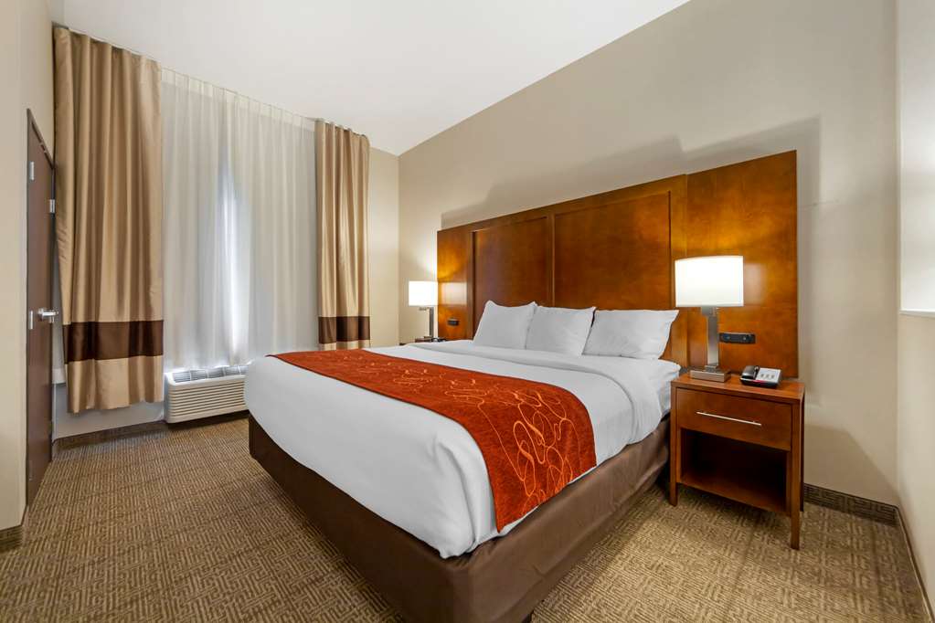 Comfort Suites La Vista Omaha - photo 22