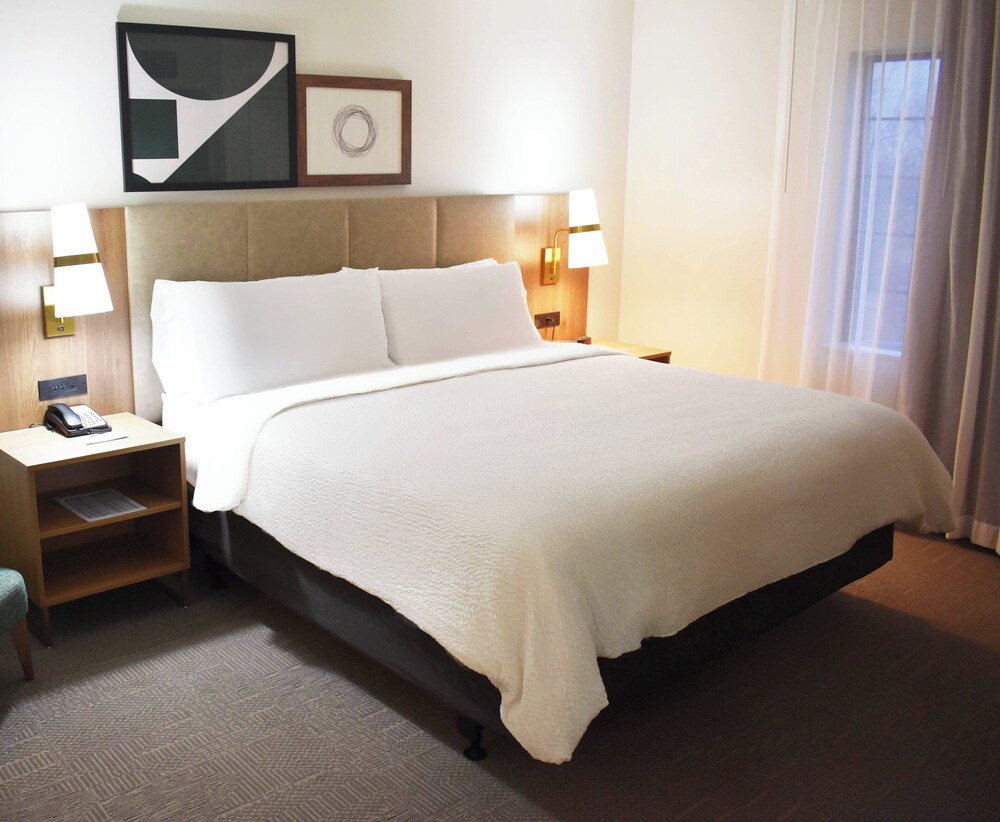 Staybridge Suites Detroit Novi by IHG - photo 5