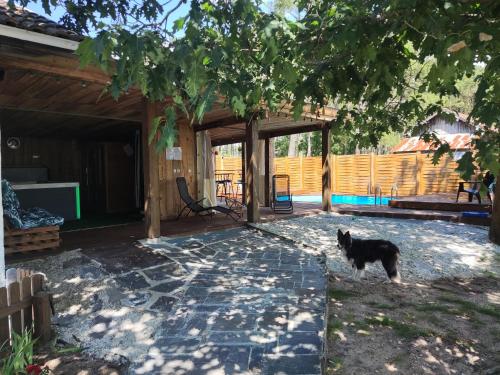 Les Sables Blancs in Saint-Julien-En-Born, France