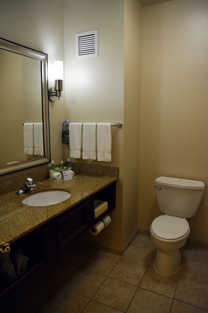 Holiday Inn Express & Suites Youngstown West Austintown by IHG - photo 13