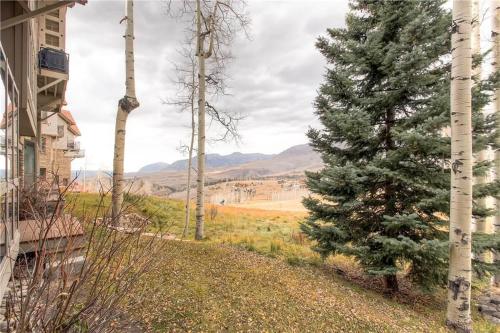Aspen Ridge Townhome by Telluride Resort Lodging - photo 6