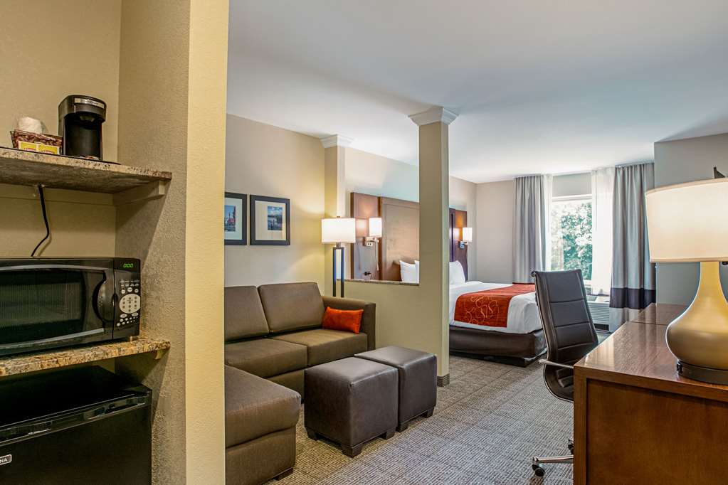 Comfort Suites Fishkill near Interstate 84 - photo 13