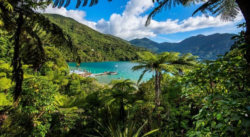 Punga Cove Resort in Picton, New Zealand