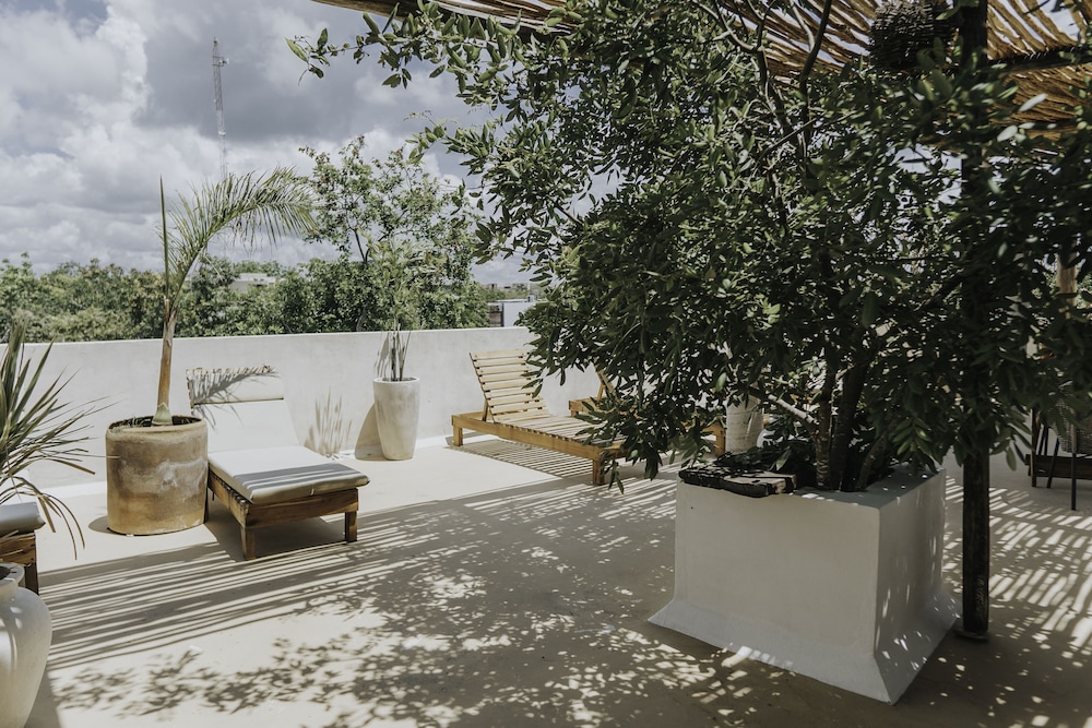 Rooftop terrace