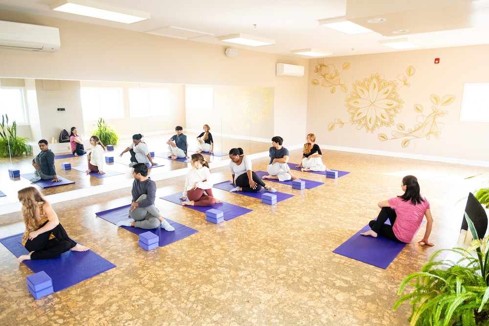 Art of Living Retreat Center - photo 67