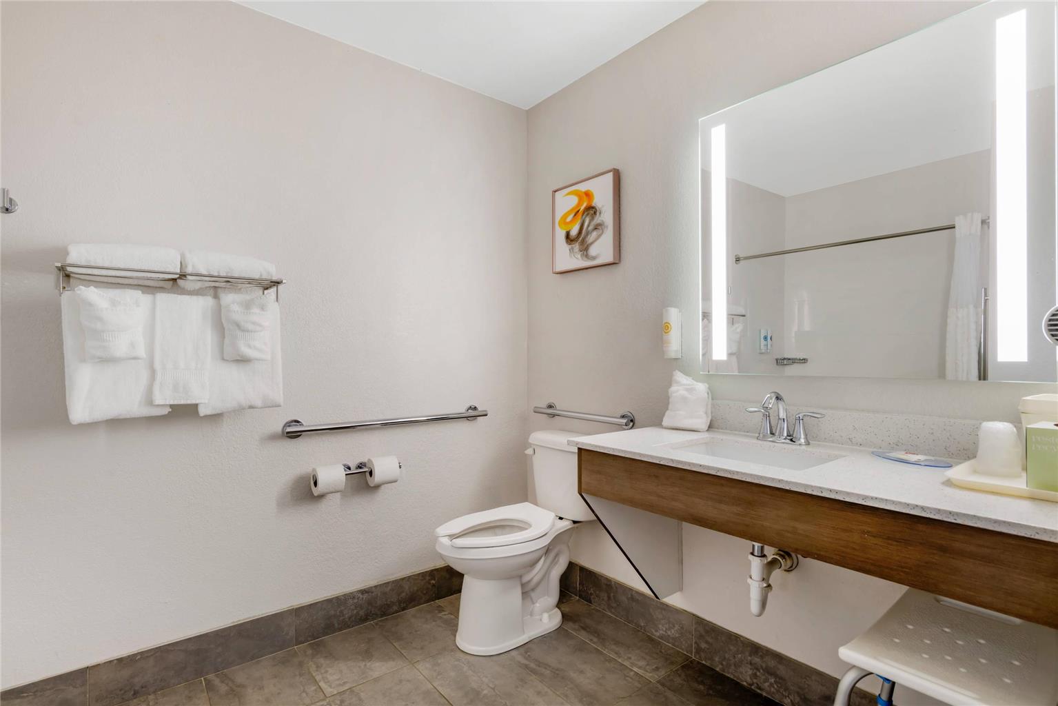 Comfort Inn & Suites Clemson University Area - photo 19