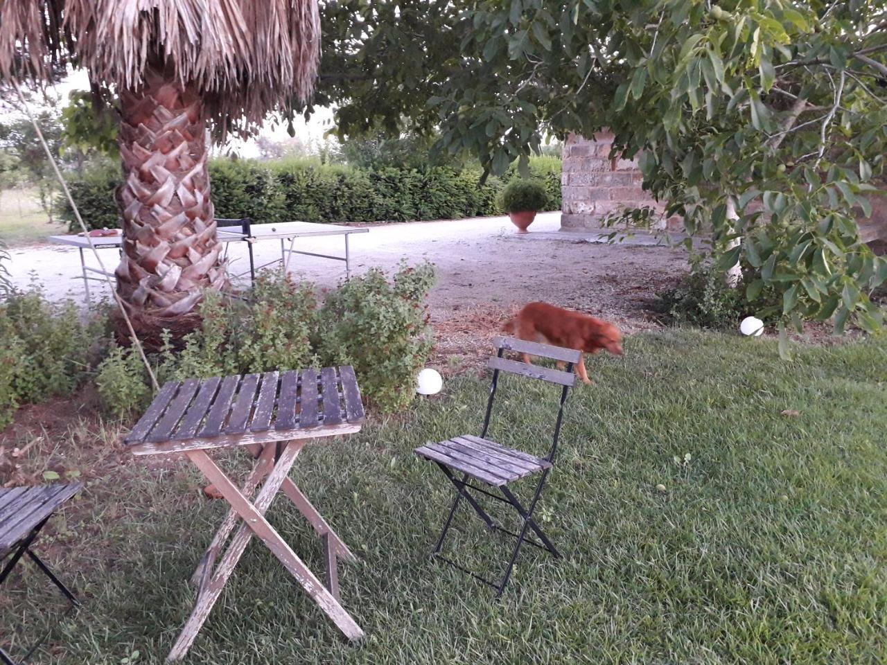 Casetta Vacanza in Campagna — hotel in Cutrofiano