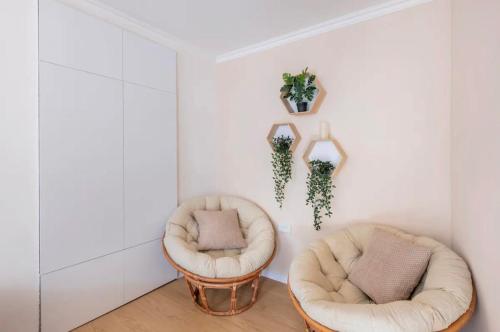 Waterfall City Centre apartment