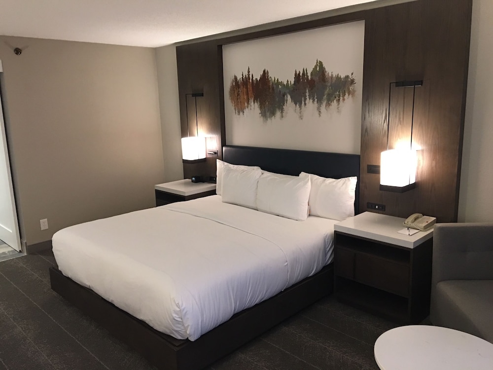 Hilton Peachtree City Atlanta Hotel & Conference Center - photo 7