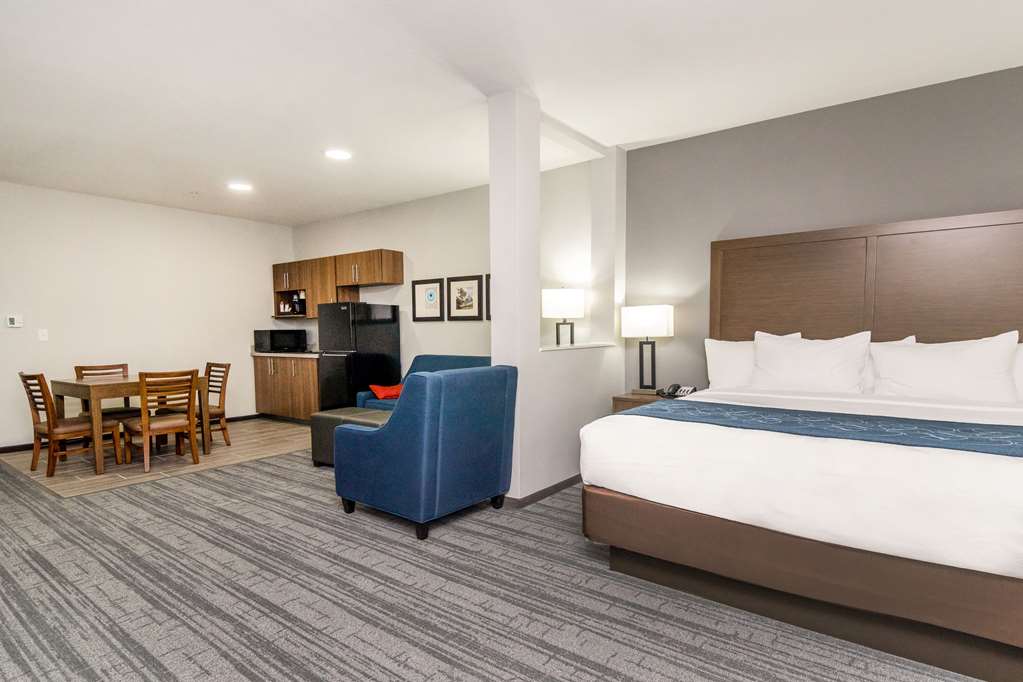 Comfort Suites DeSoto Dallas South - photo 13