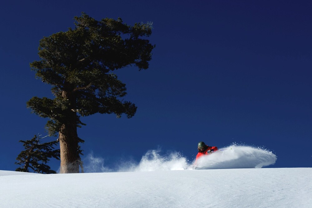 Donner Lake Village Resort - photo 36
