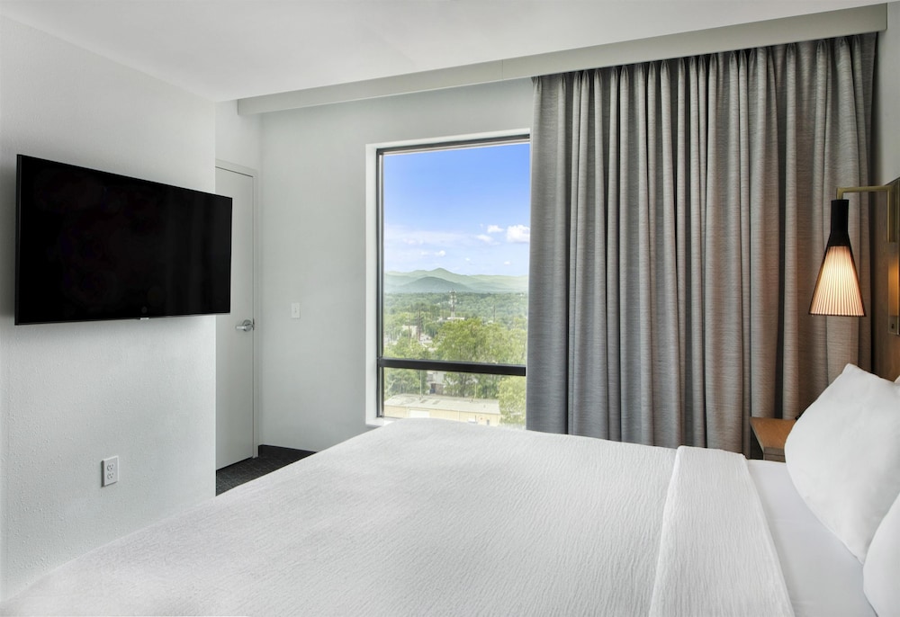 Embassy Suites By Hilton Asheville Downtown - photo 20