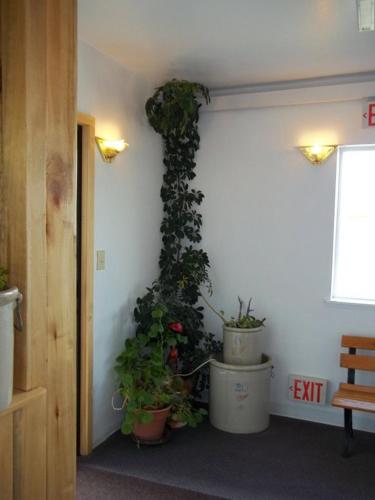 River Valley Inn - photo 9