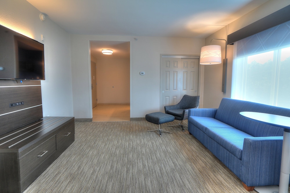 Holiday Inn Express Hotel & Suites Mobile Saraland by IHG - photo 75