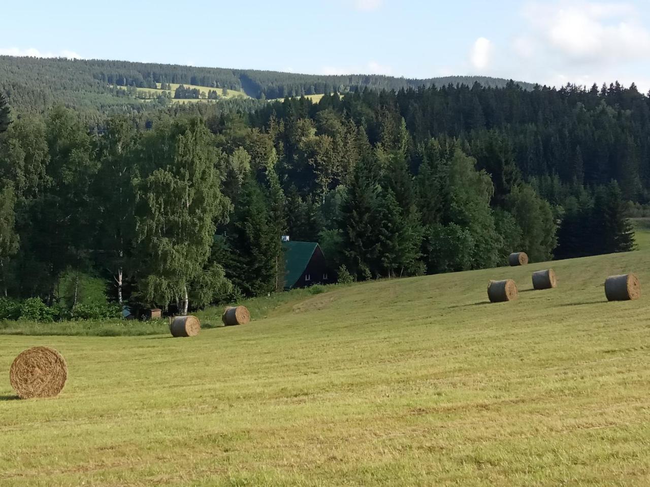 Penzion La Baita — Horni Branna — photo 4