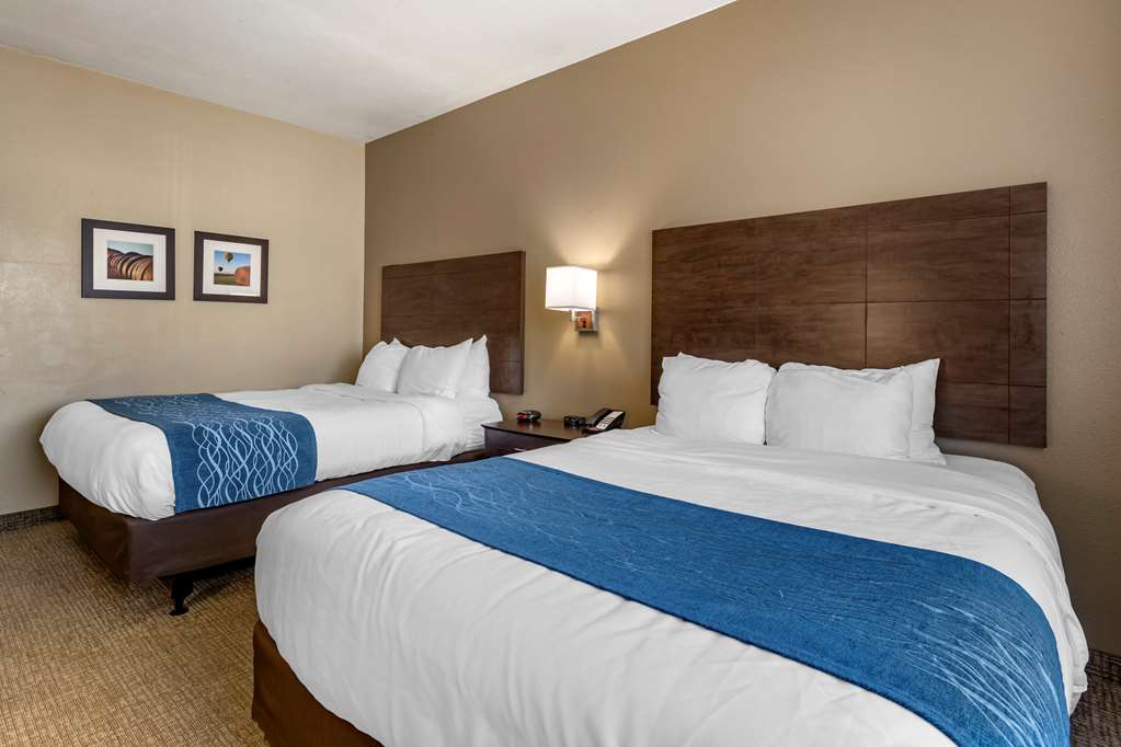 Comfort Inn & Suites Waterloo Cedar Falls - photo 10