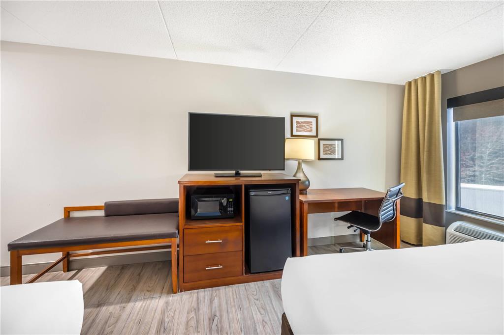 Comfort InnSuites ChattanoogaWest Lookout Mountain - photo 16