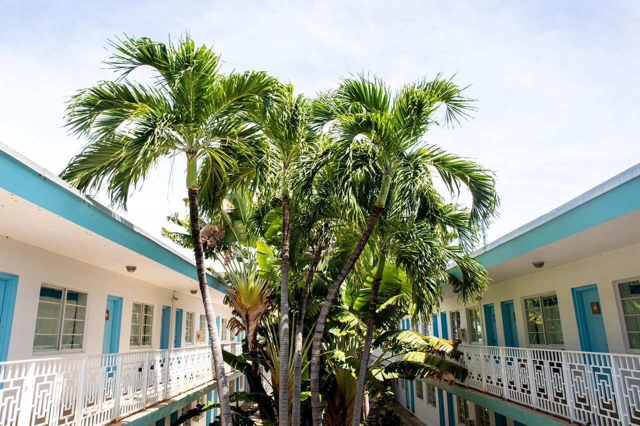 Aqua Hotel & Suites - photo 12