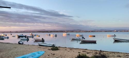 Sunshine casa de campo e praia estilo e conforto espaço e privacidade perfeita para as suas férias em Olhão — 4-Star Luxury Hotel in Moncarapacho, Portugal