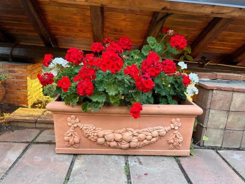 Villa del Sole — Valverde — photo 5