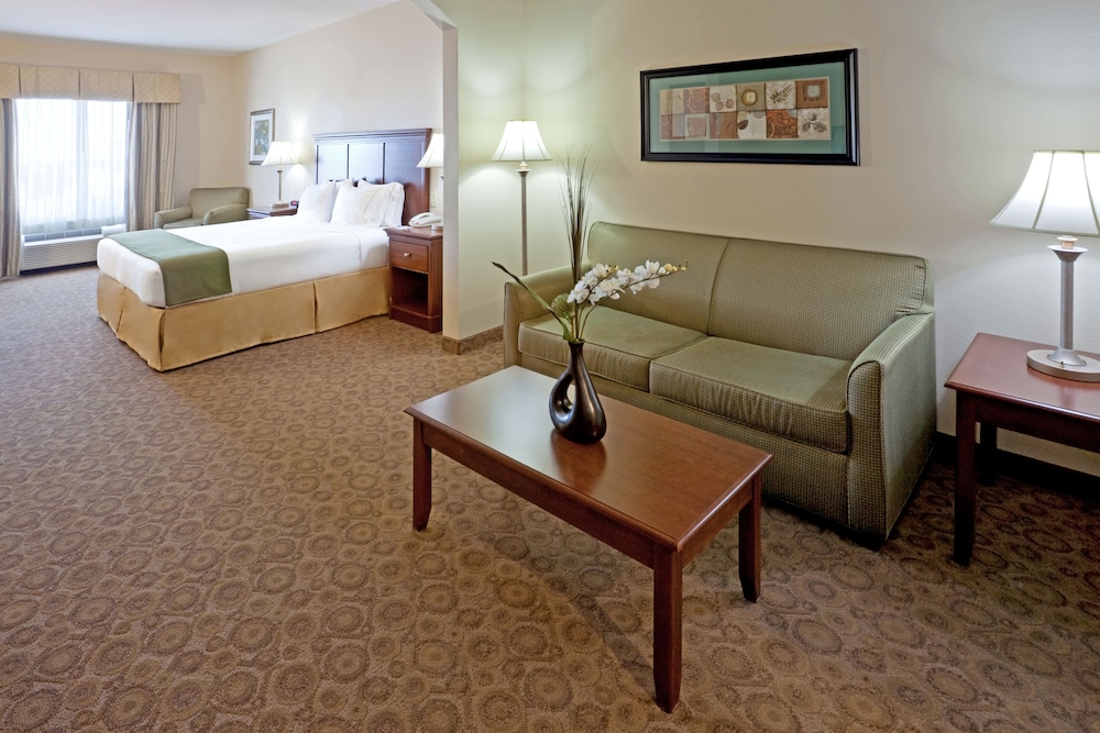 Holiday Inn Express & Suites Dallas Southwest Cedar Hill by IHG - photo 9
