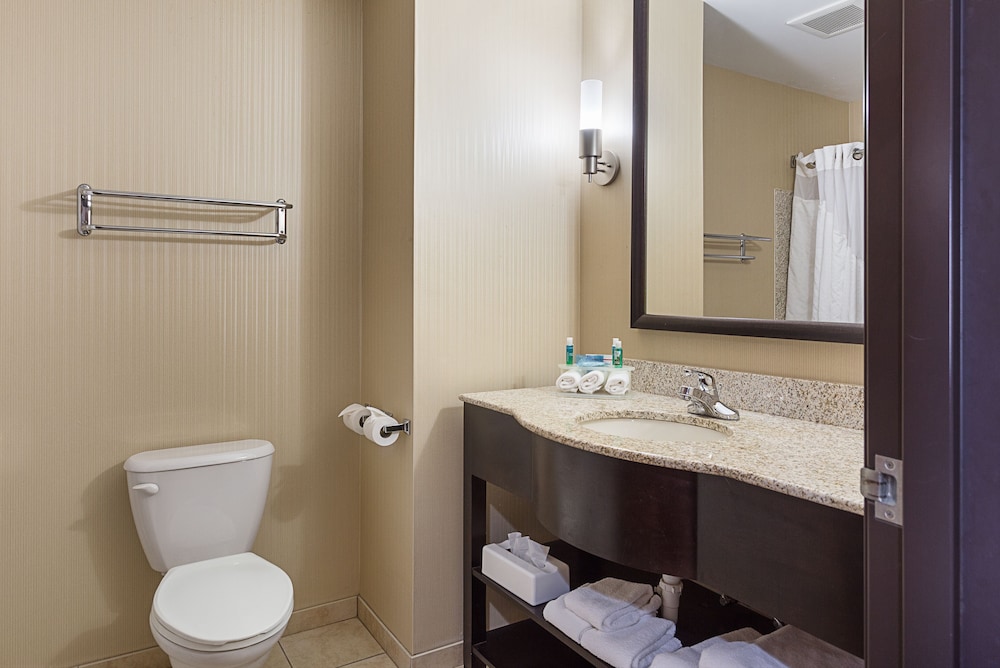 Holiday Inn Express Hotel & Suites BYRAM by IHG - photo 19