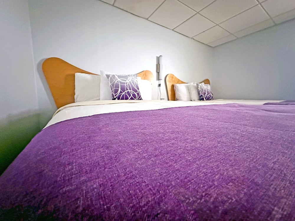Shalimar Resort - photo 13