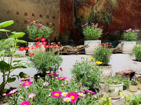 Xiaoyin Inn in Zhenyuan Chengguanzhen, People's Republic of China