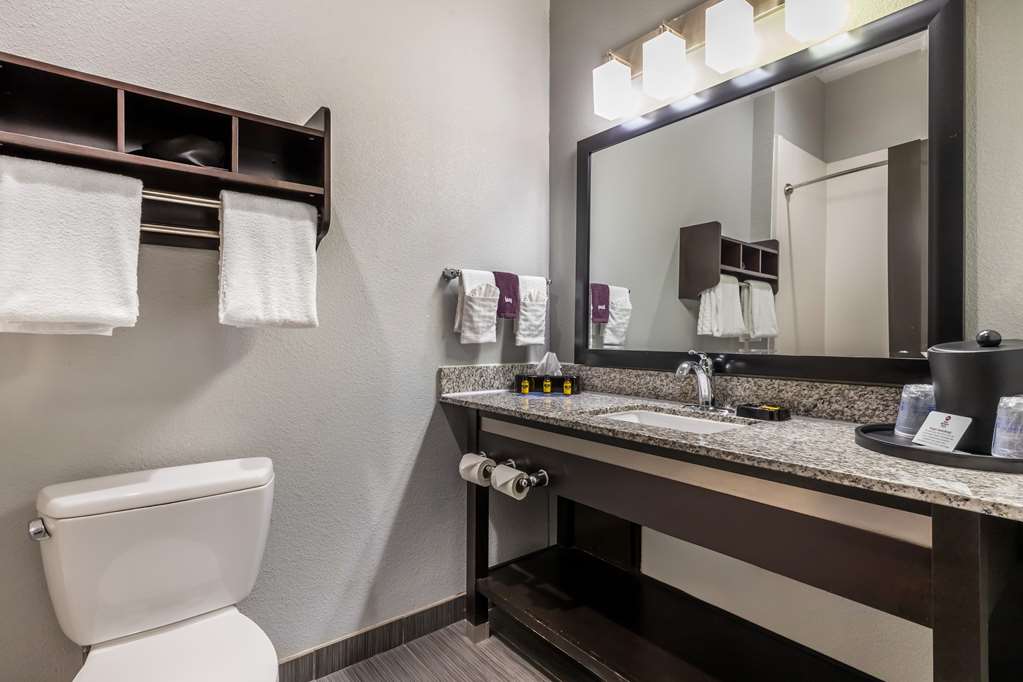 Best Western Plus Coweta's 1st Hotel - photo 27