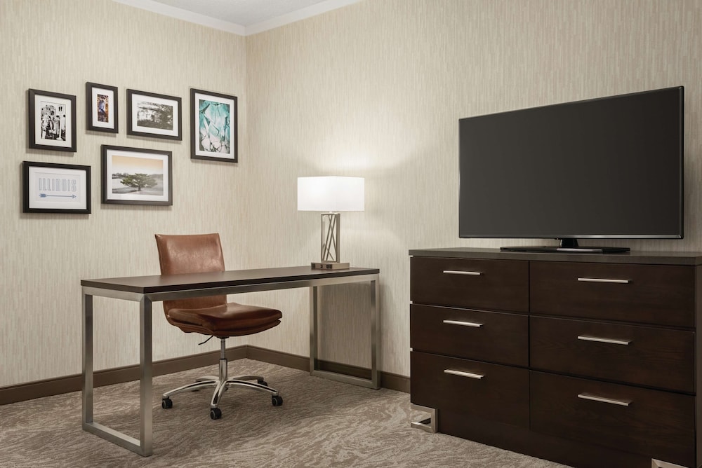 Embassy Suites by Hilton Chicago North Shore Deerfield - photo 15