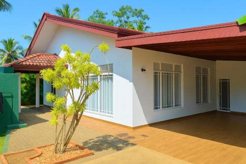 Tropical Haven in Negombo, Sri Lanka